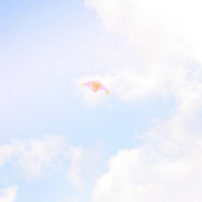 王师逐鹿游戏下载